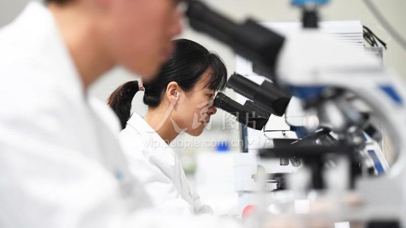 小分子CDMO与CMO：差异何在，如何选择**