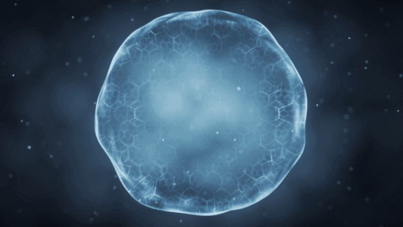 重组蛋白生物制品稳定性：如何确保其安全有效？**