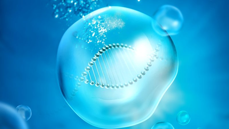 生物试剂运输，如何确保安全合规？**