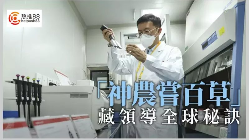 解码上海生物科技公司服务范围：揭秘医药研发的幕后推手**