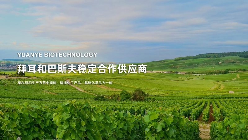基因测序仪型号大揭秘：illumina家族如何选型**