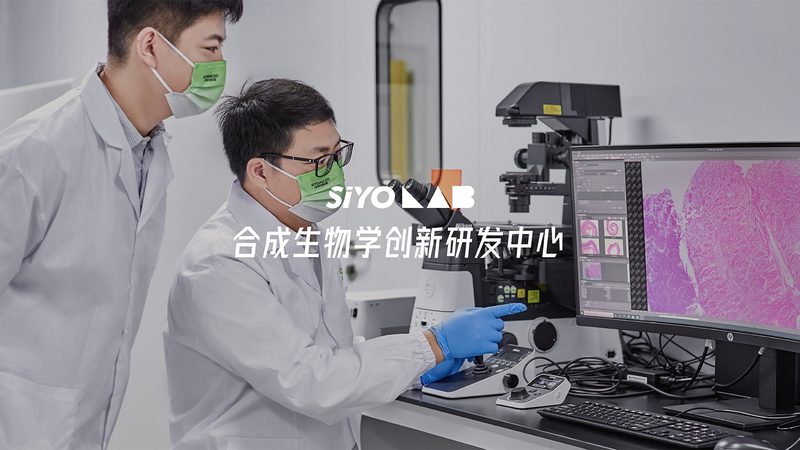 认识误区：价格与品质的等价关系