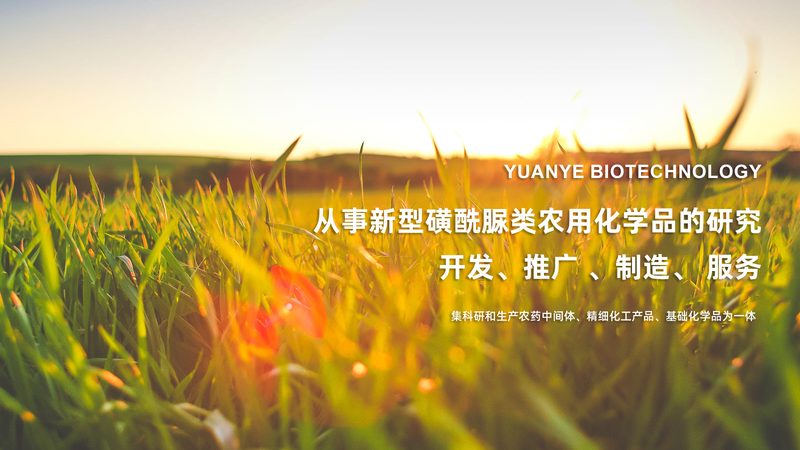 细胞工厂材质选择：揭秘高效生产的秘密武器