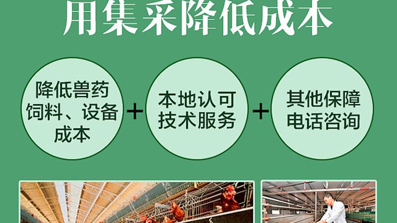 引物合成的批量采购，你真的了解吗？**