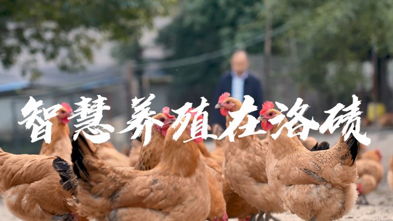 定制方案，精准检测：生物科技检测服务的核心考量**