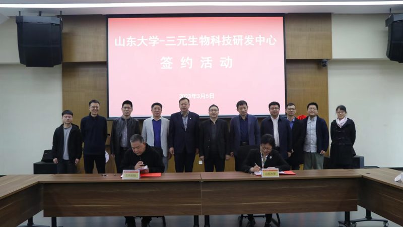 CDMO服务收费标准：揭秘医药研发背后的成本构成
