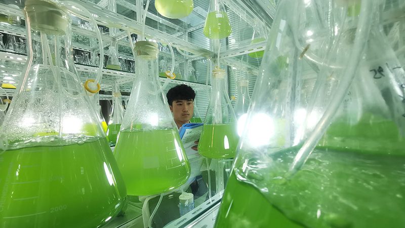 高通量引物合成的秘密：揭秘其报价背后的技术门道**